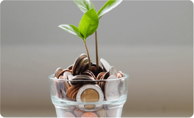 A plant growing out of a container full of money.